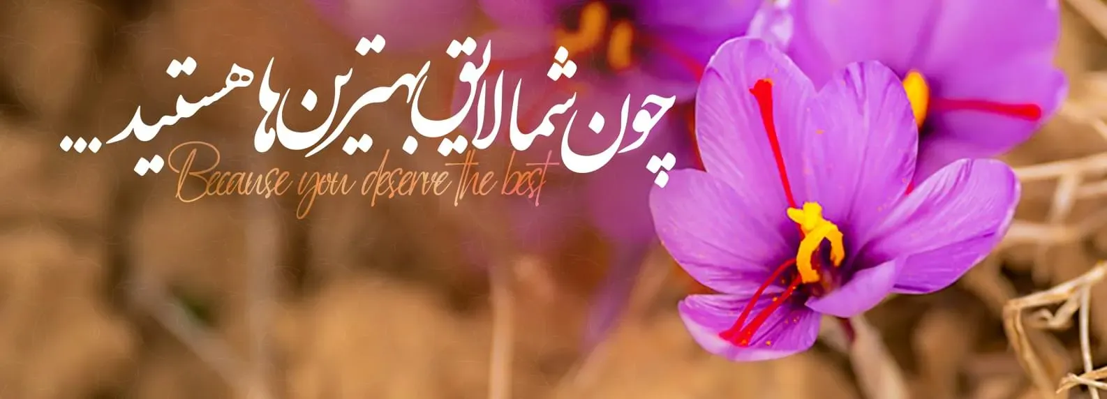 banner-1-1 (1)