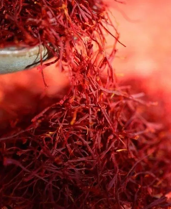 saffron miracle e1770383271156 1